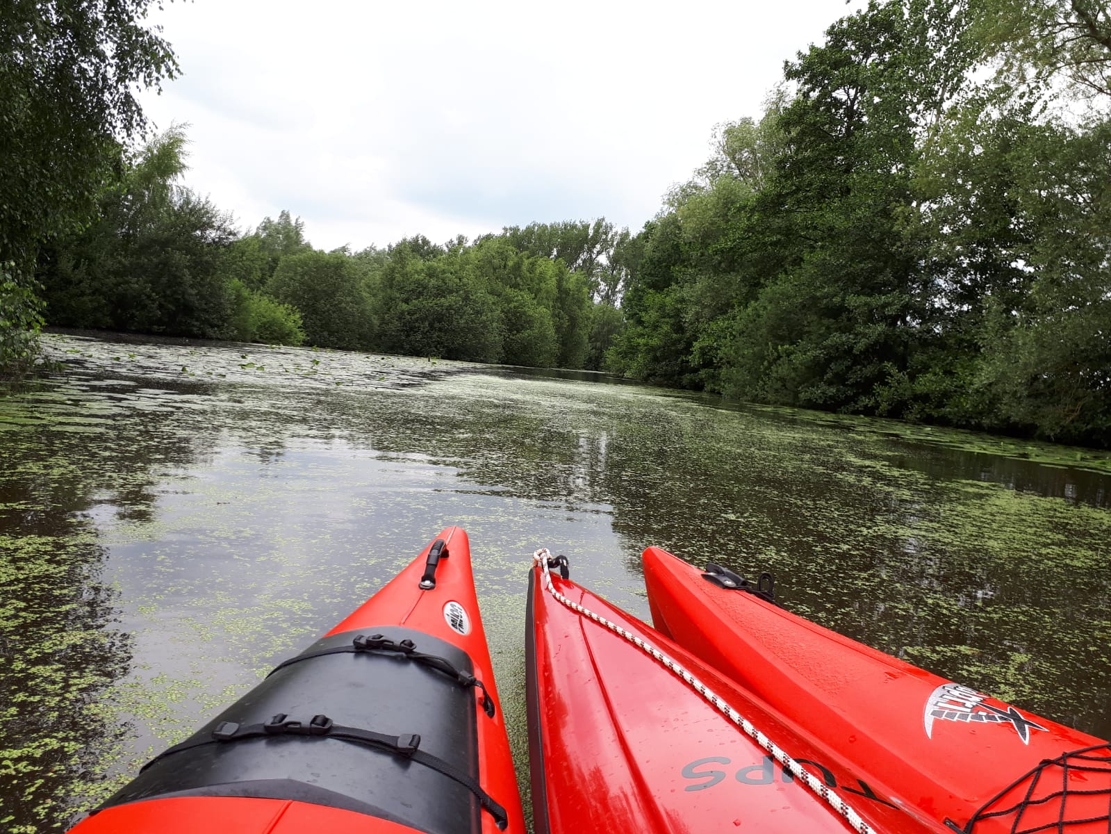 Bild "Wanderkanu:3_rote_kajaks.JPG"