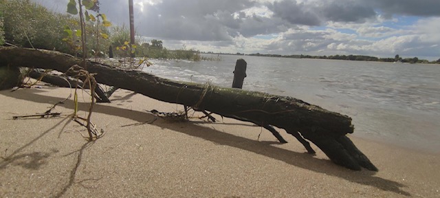 Bild "Willkommen:Harriersand_Eindruck.jpg"